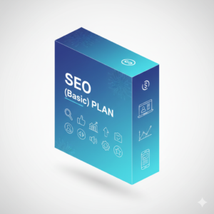 SEO Basic Plan